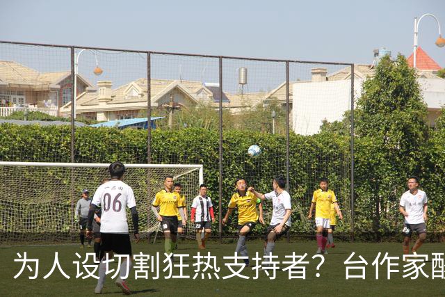 为人设切割狂热支持者？台作家酸：今天的沈伯洋连“青鸟”都陌生
