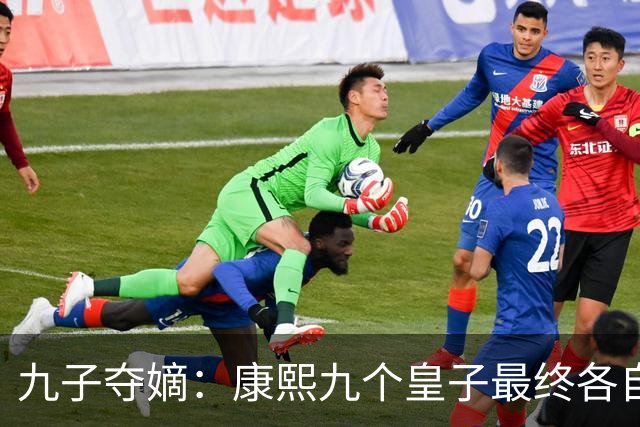 九子夺嫡：康熙九个皇子最终各自下场