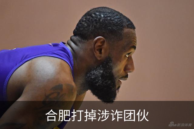 合肥打掉涉诈团伙