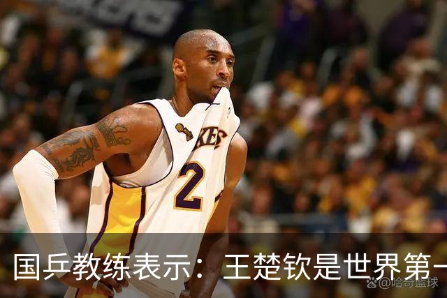 国乒教练表示：王楚钦是世界第一位强势打法的球员，樊振东则是综合能力最强的