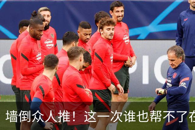 墙倒众人推！这一次谁也帮不了在泰国割韭菜的白鹿，终为自负买单