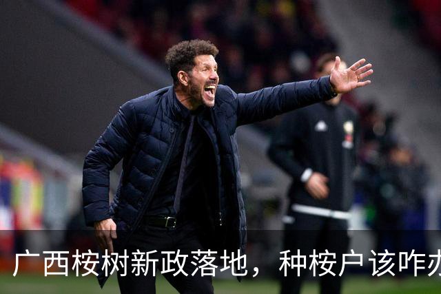 广西桉树新政落地，种桉户该咋办？