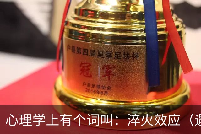 心理学上有个词叫：淬火效应（遇到一个强势的人，不要示弱，不要顺从，只需要记住 “淬火效应”）