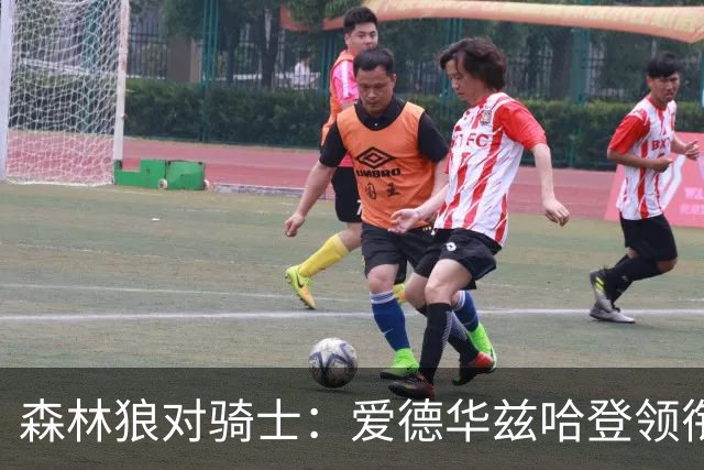 森林狼对骑士：爱德华兹哈登领衔，两队伤情成看点